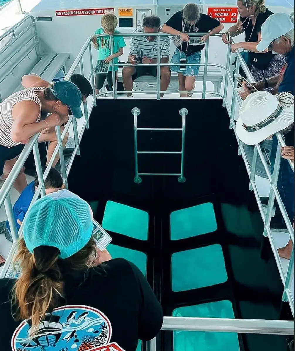 Glass-Bottom Boats & Semi-Submersibles