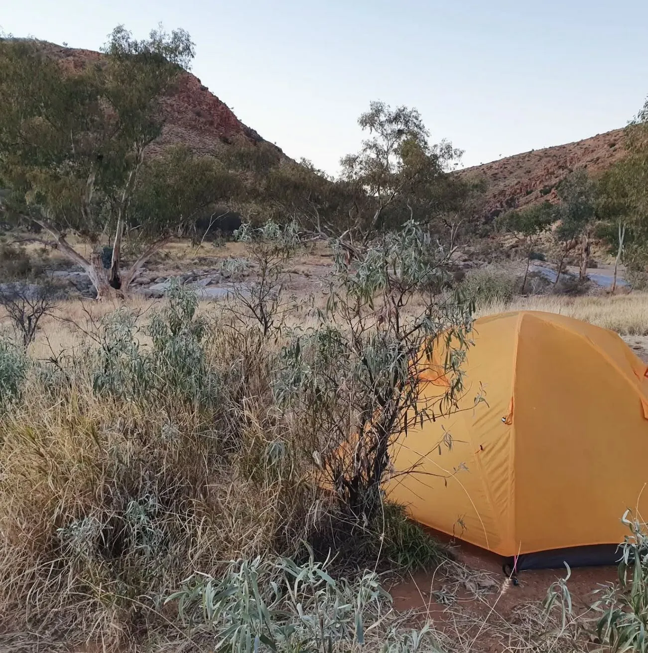 Jay Creek, Larapinta Trail