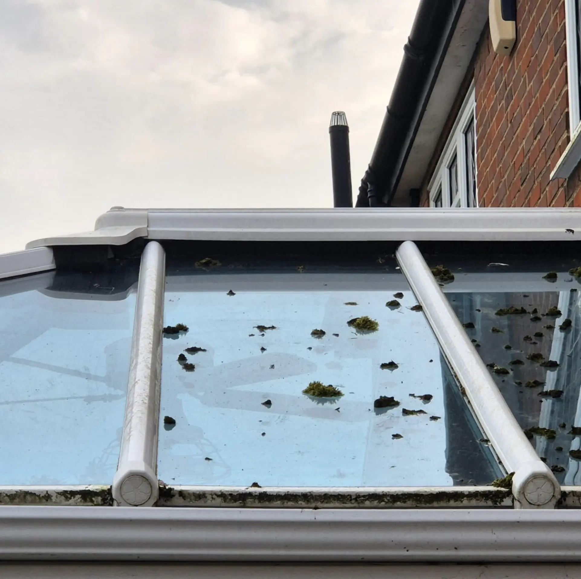 Seasonal Window Cleaning