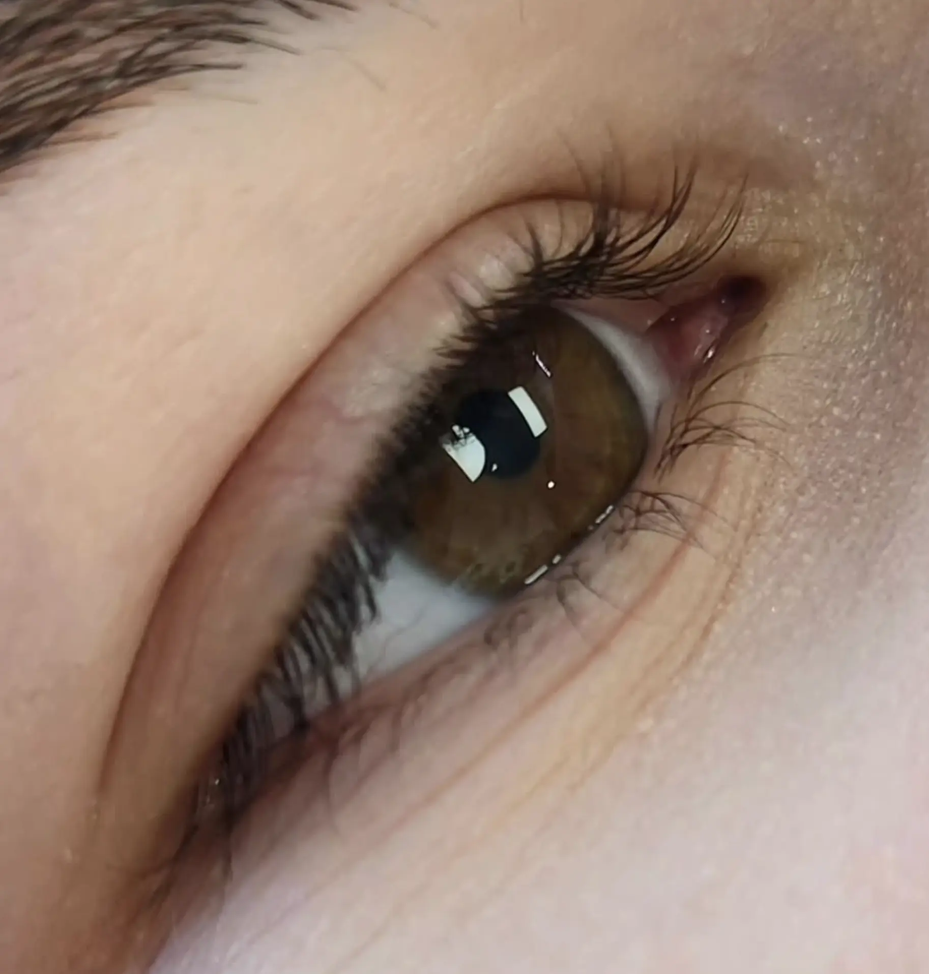 how long do lash extensions last