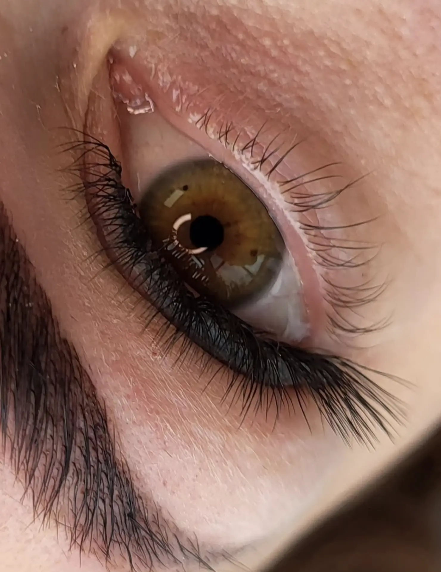 lash extensions Brisbane